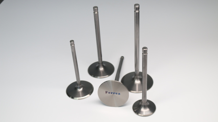 Titanium Valves